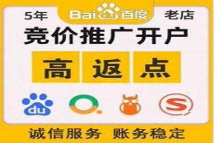 SEM推广技巧：成功案例深度剖析